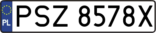 PSZ8578X