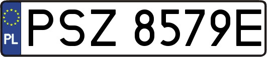 PSZ8579E
