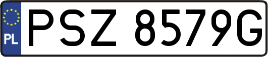 PSZ8579G