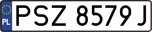 PSZ8579J