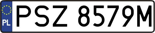PSZ8579M