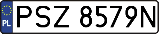 PSZ8579N
