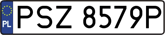 PSZ8579P