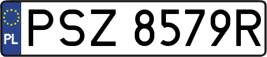 PSZ8579R