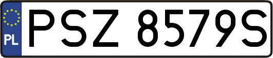 PSZ8579S