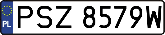 PSZ8579W