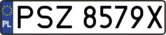 PSZ8579X
