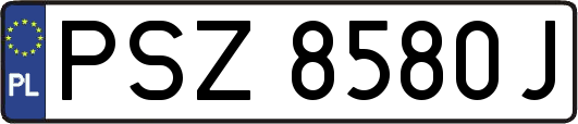 PSZ8580J