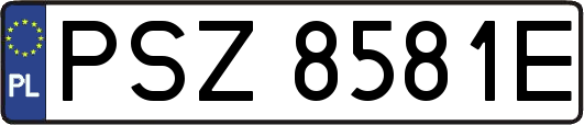 PSZ8581E