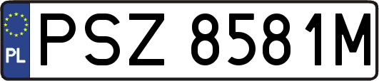 PSZ8581M