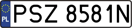 PSZ8581N