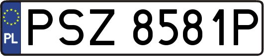 PSZ8581P