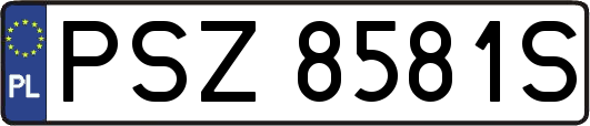 PSZ8581S