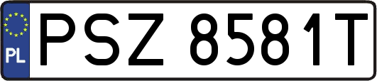 PSZ8581T