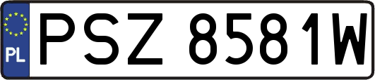 PSZ8581W