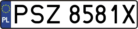 PSZ8581X