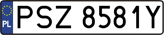 PSZ8581Y