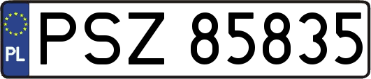 PSZ85835