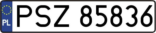PSZ85836