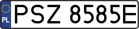 PSZ8585E