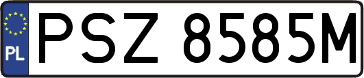 PSZ8585M