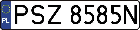 PSZ8585N