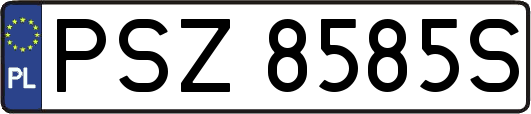 PSZ8585S