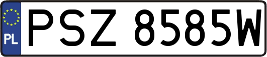 PSZ8585W