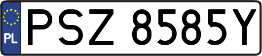 PSZ8585Y