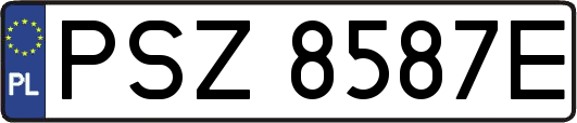 PSZ8587E