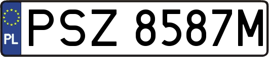 PSZ8587M