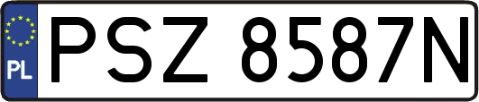 PSZ8587N