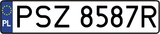 PSZ8587R