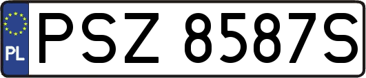 PSZ8587S