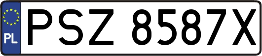 PSZ8587X
