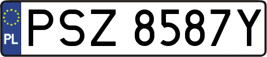 PSZ8587Y