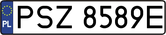 PSZ8589E