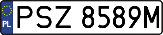 PSZ8589M