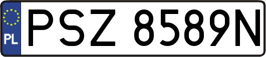 PSZ8589N