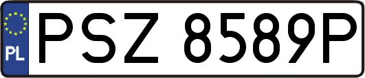 PSZ8589P