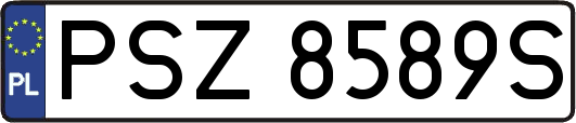 PSZ8589S