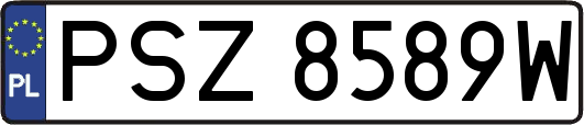 PSZ8589W
