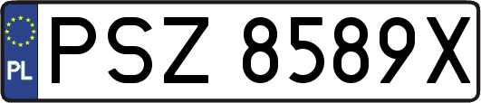 PSZ8589X
