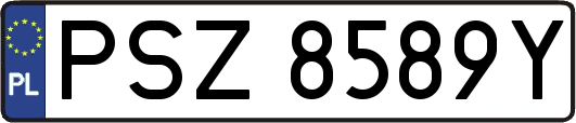 PSZ8589Y