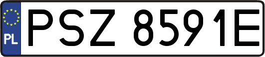 PSZ8591E