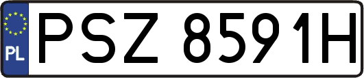 PSZ8591H