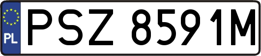 PSZ8591M