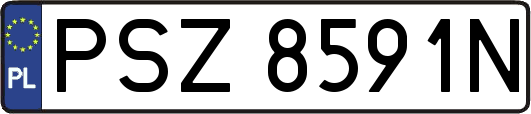 PSZ8591N