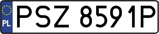 PSZ8591P