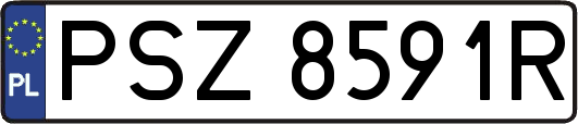 PSZ8591R